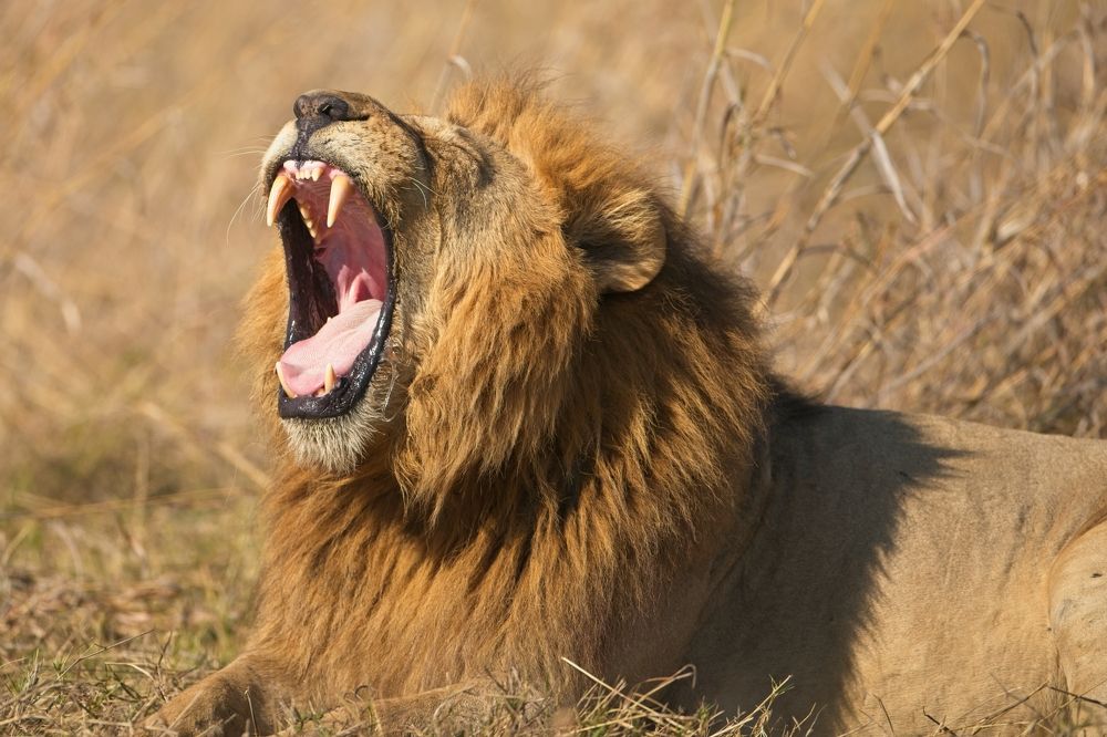 Photograph by Игорь Щербаков