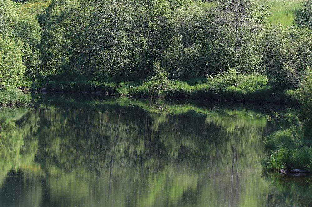 Заповедная река