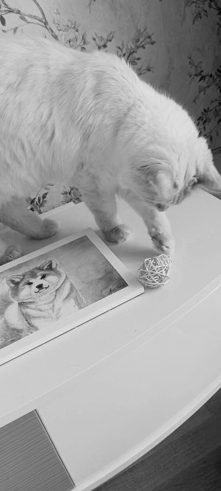 Photograph by Елена Артюх