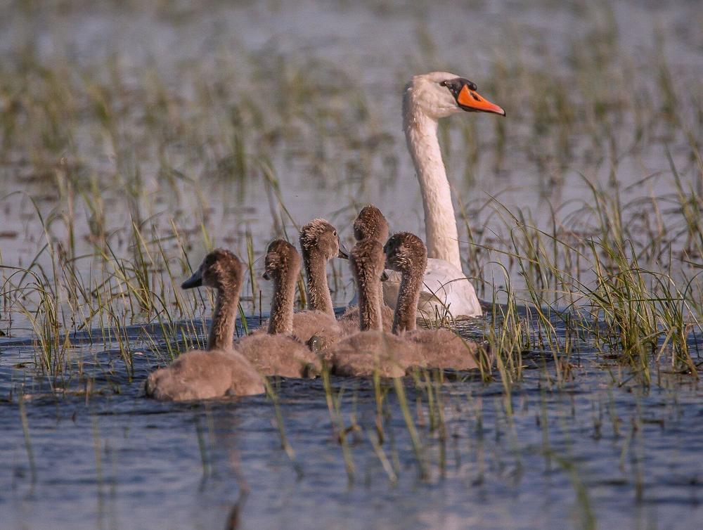 Photograph by Сергей цыбизов