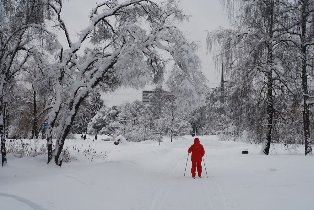 Photograph by Генов Павел