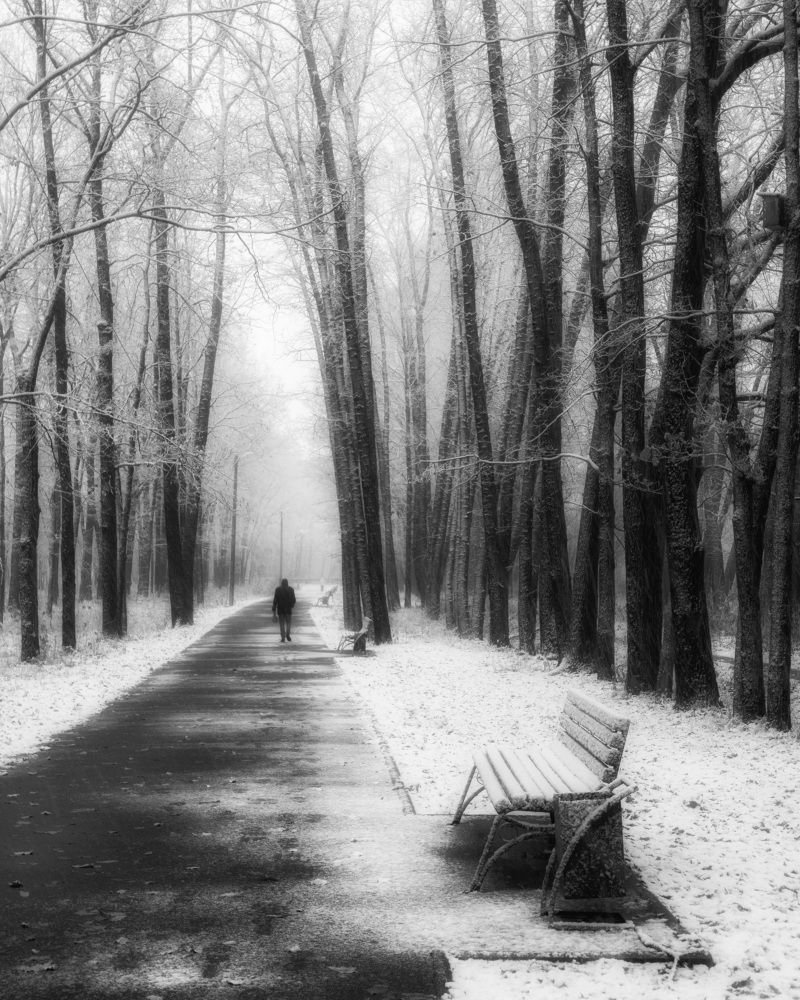 Photograph by Юлия Морозова