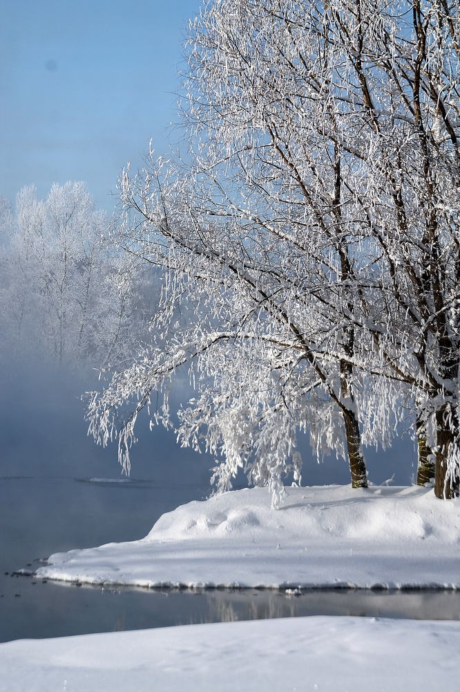 Фотография автора Любовь Харина
