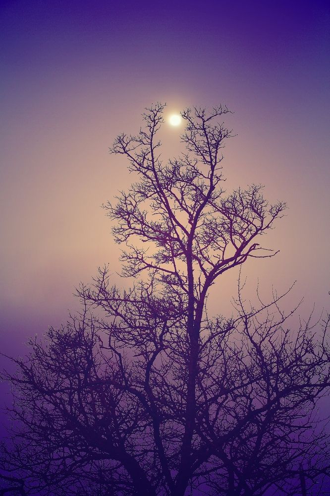 "Жемчужина в обрамлении"