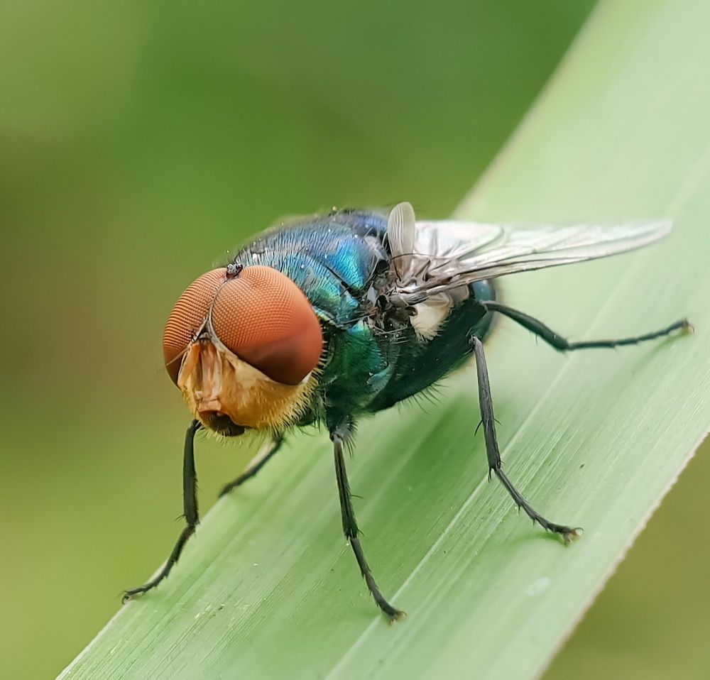 Photograph by NGUYEN LIEN