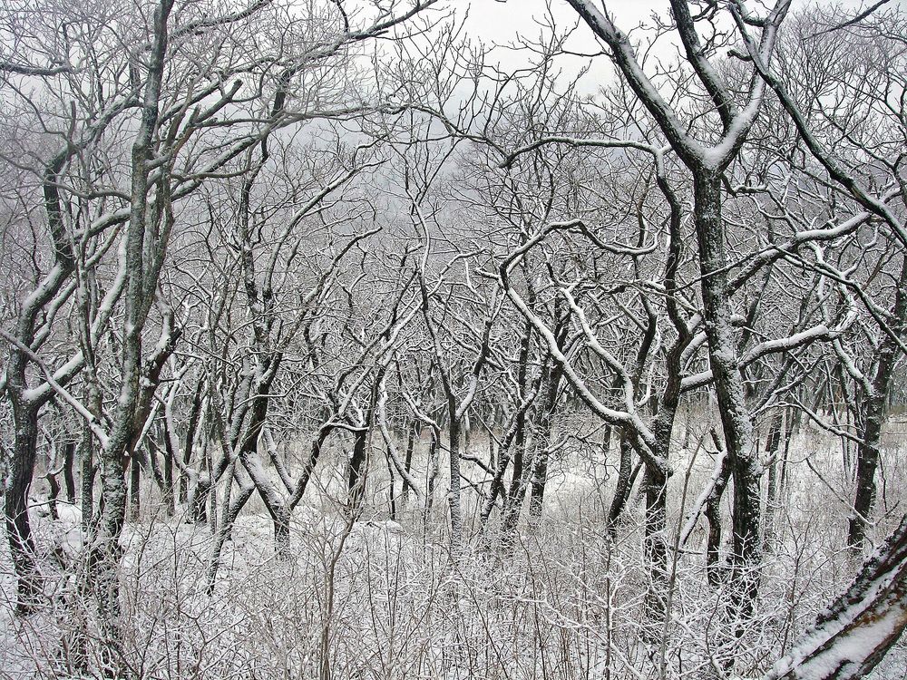Photograph by Александр Корнелюк