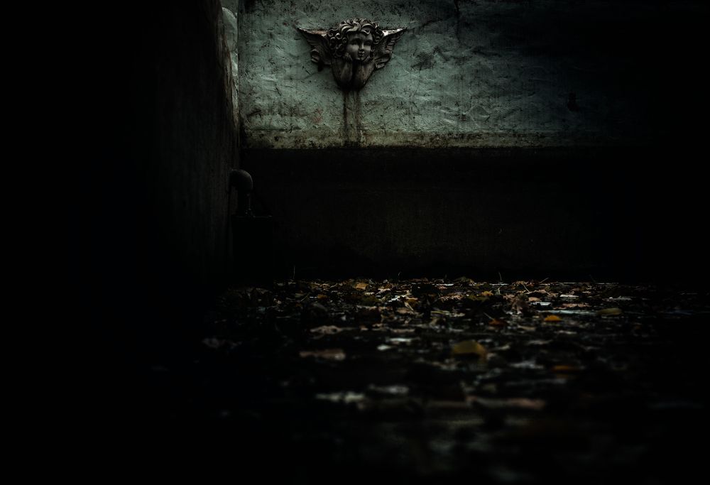 Photograph by Денис Труфанов