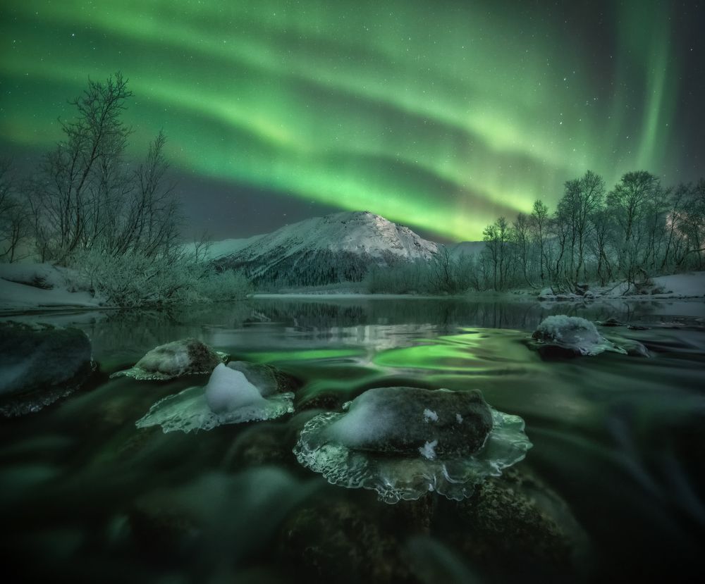 Цвет Севера.