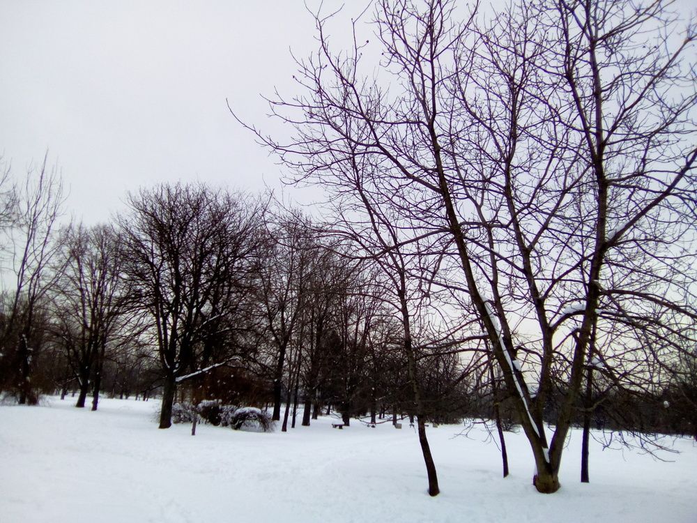 Photograph by Алмерия Монева