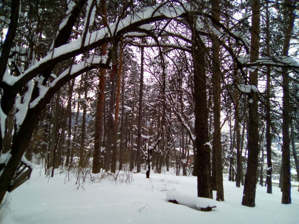 Photograph by Алмерия Монева