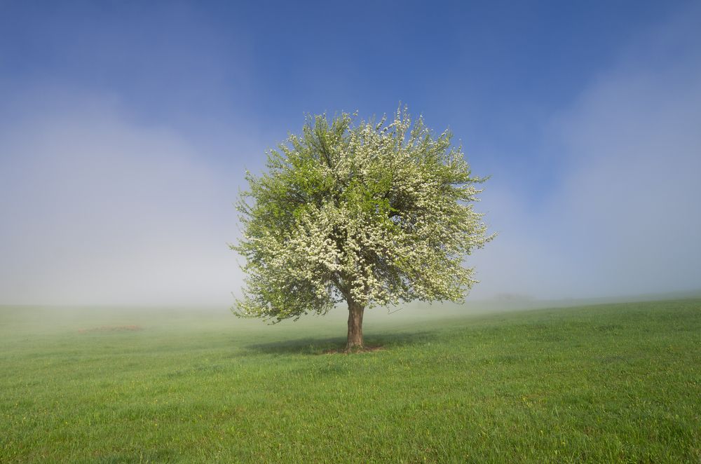 Photograph by Mirosław Pruchnicki
