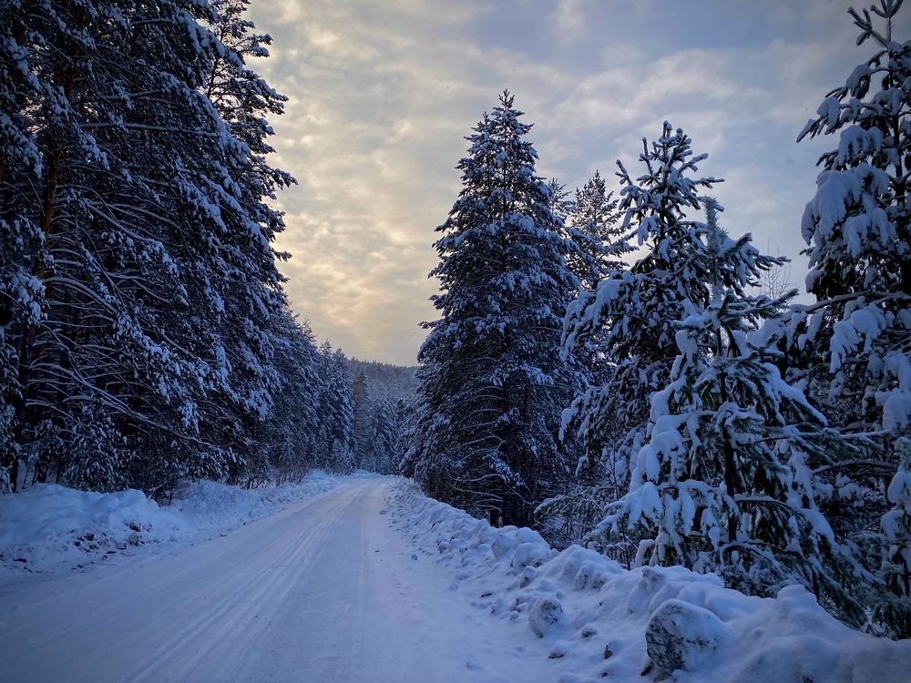 Photograph by Мила Смирнова