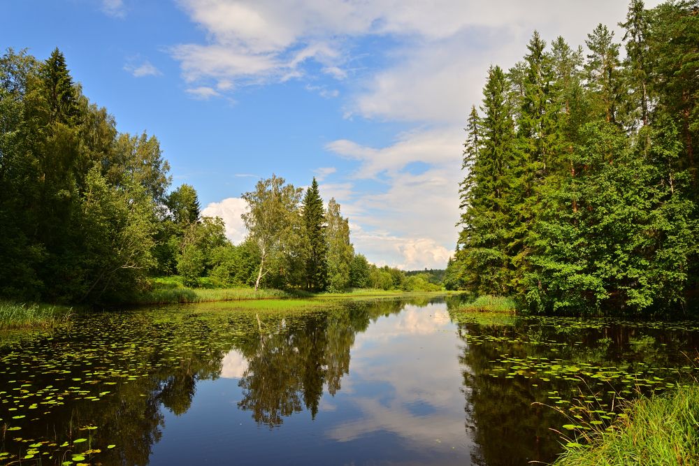 Photograph by Максим Мицун