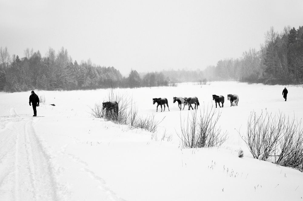 Photograph by Nadezhda