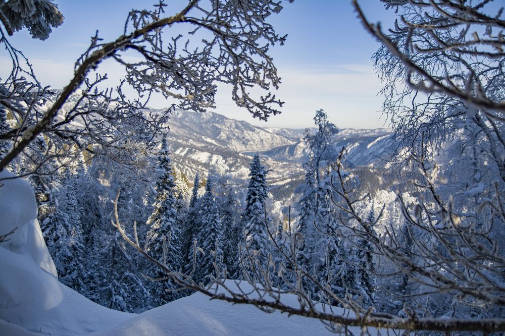 Фотография автора Светлана Воротынцева