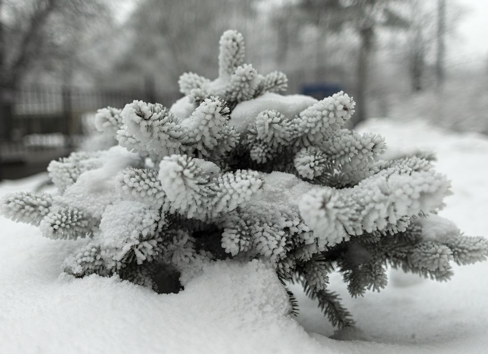 Photograph by Сергей Басов