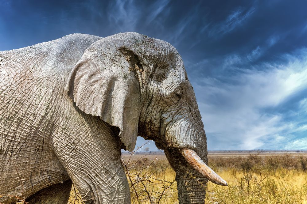 Photograph by Владимир Луценко