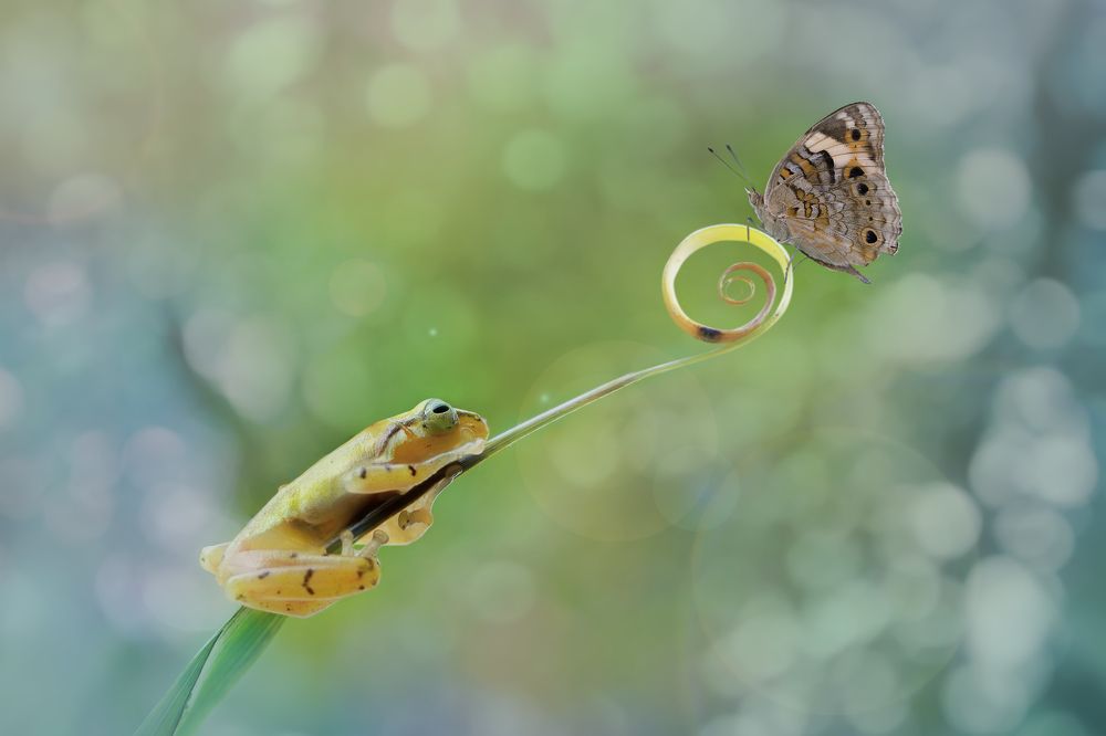 Photograph by Navela Gusti Roby