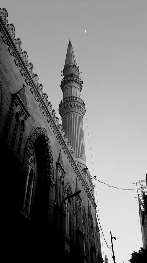 Photograph by Nesreen Abdelnasser