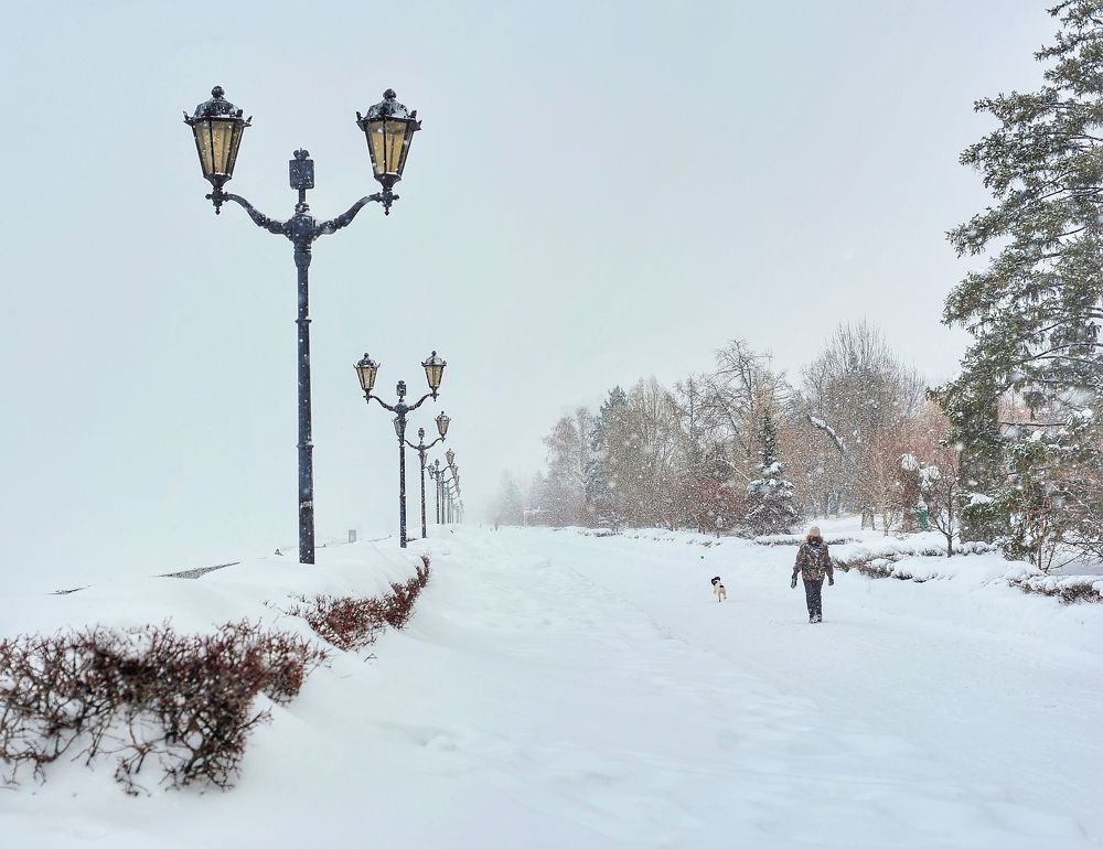 Метель на набережной