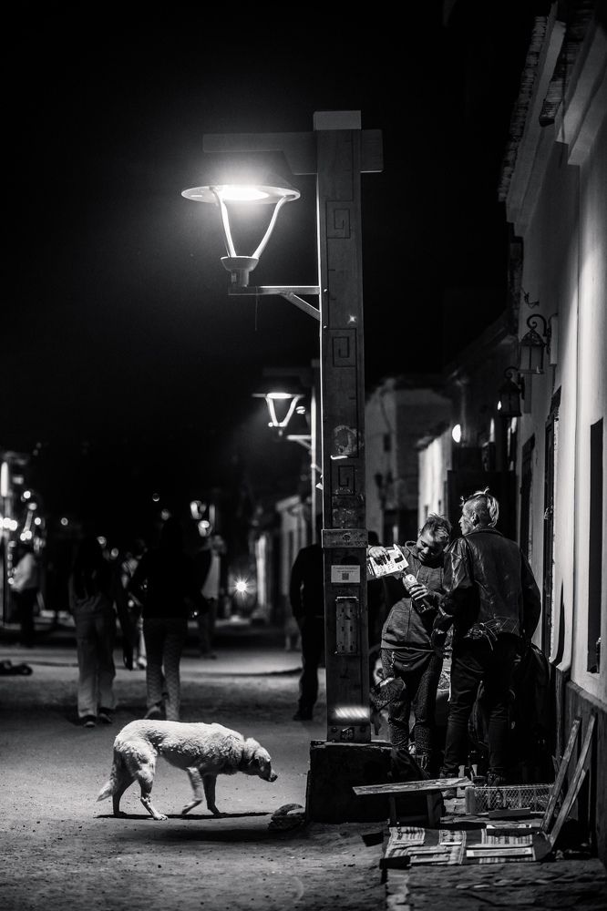 Photograph by Katherine Strauss