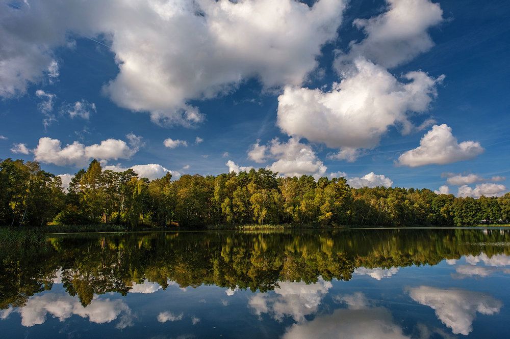 Photograph by Igor Sirbu