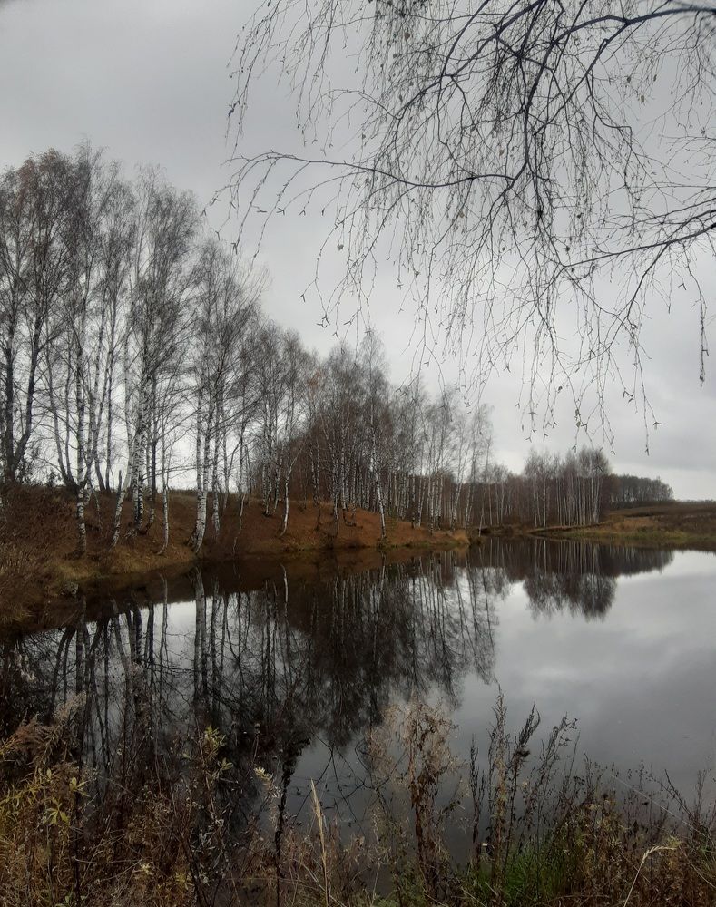 Photo #8560163