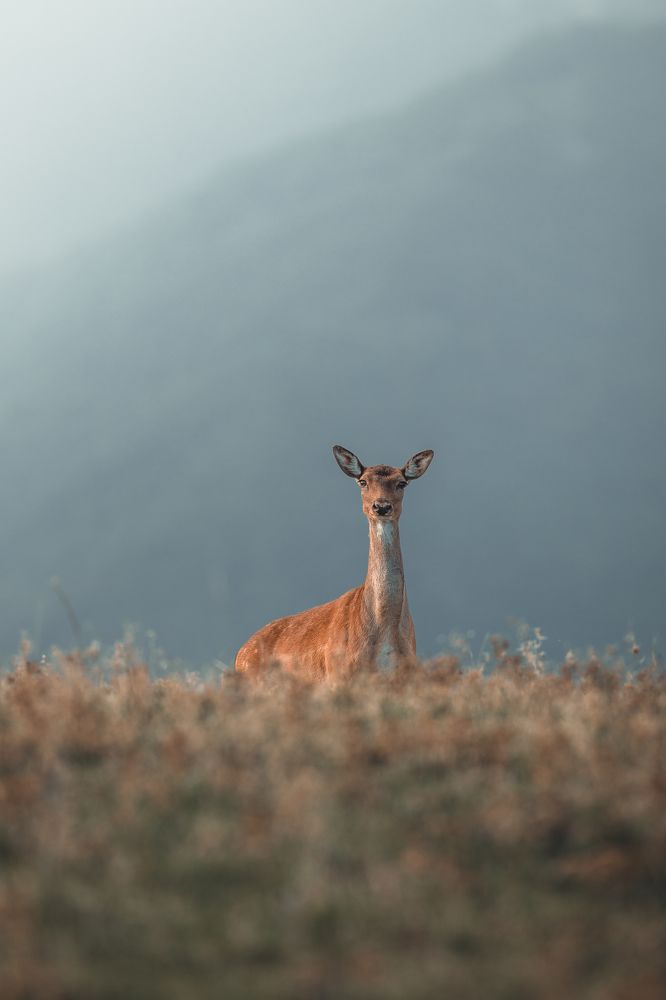 Photograph by Christian  Bolognese