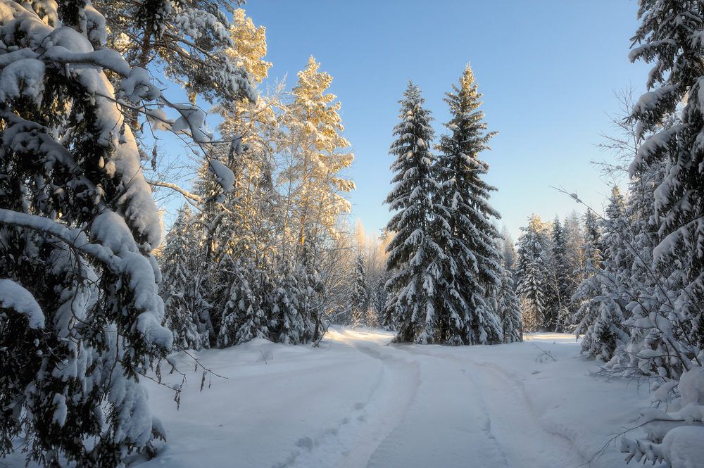 Photograph by Анатолий Гулин