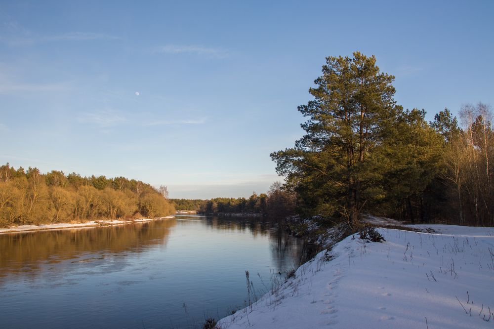 Фотография автора Даниил Бабей