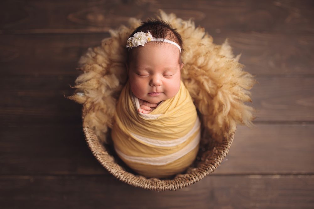 Фотография автора Светлана Рожкова