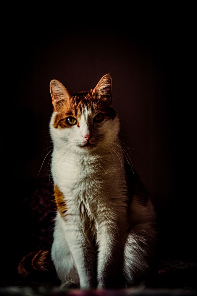 Photograph by Алексей Егоров