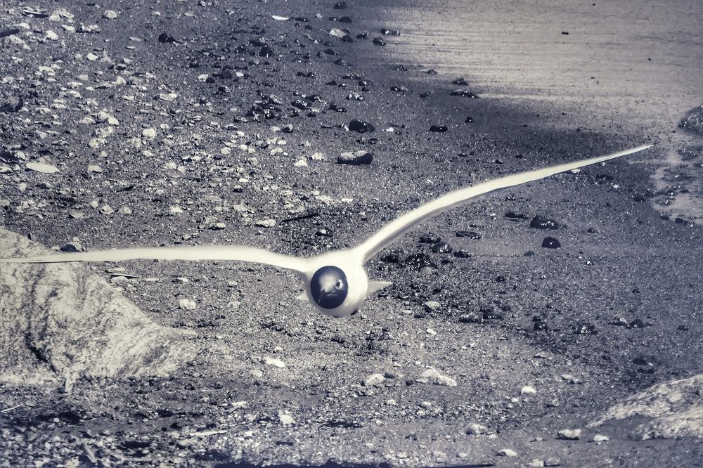 Photograph by Наталия Романова