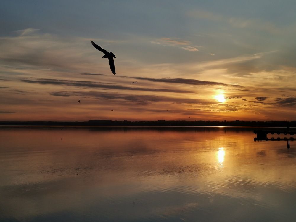 В лучах заката