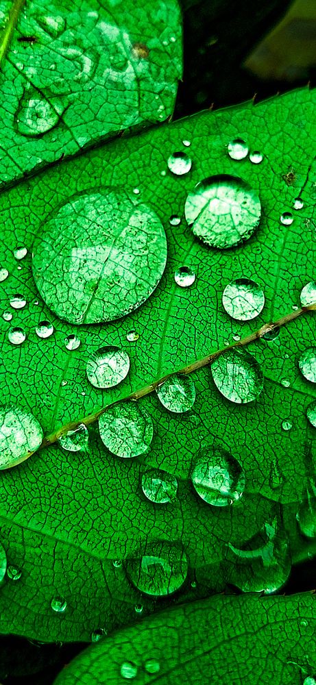 Photograph by Sayonika Mukherjee