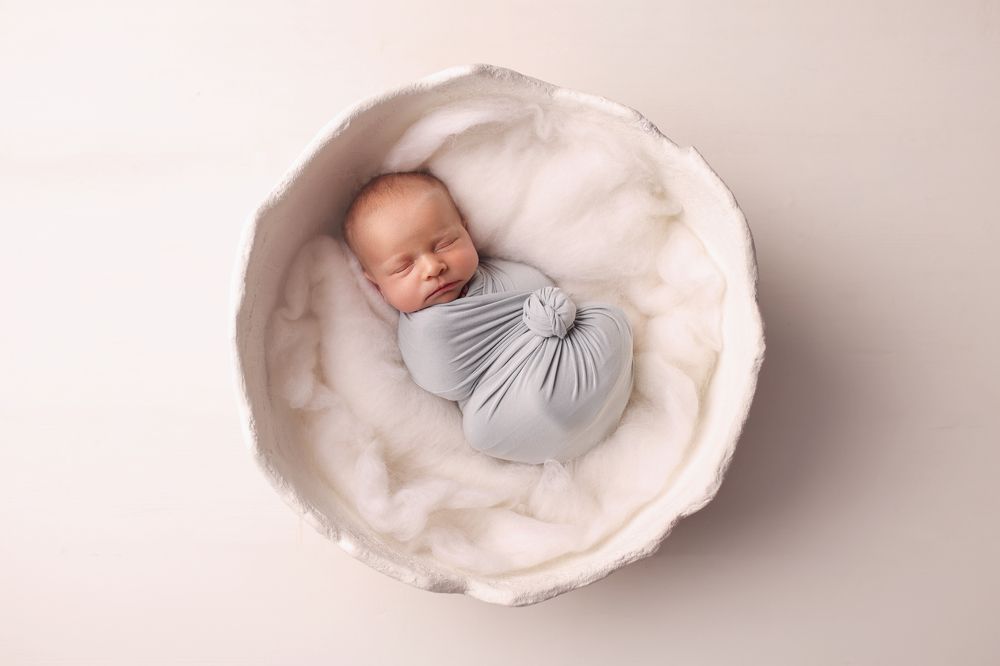 Фотография автора Светлана Рожкова