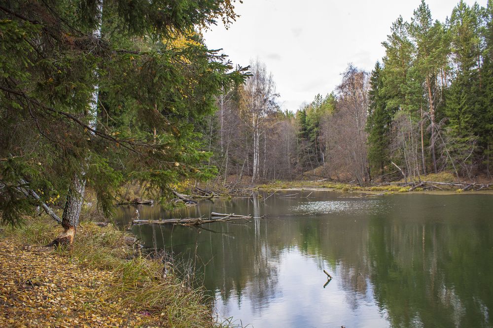 Photograph by Леонтьева Оксана