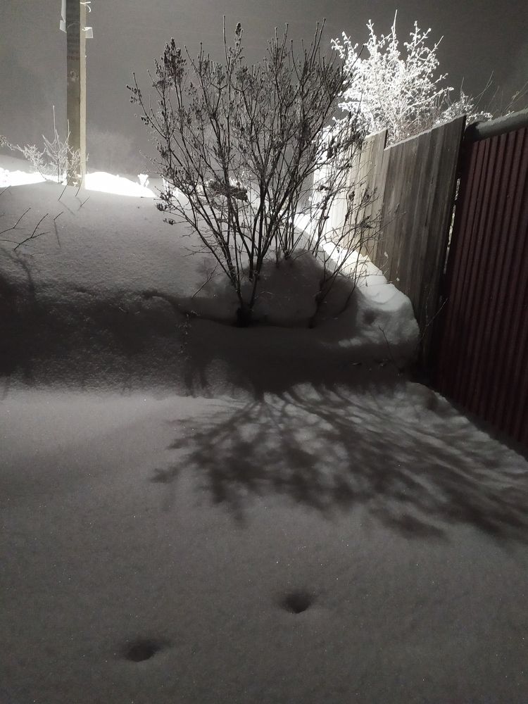 Фотография автора Ирина Тимина