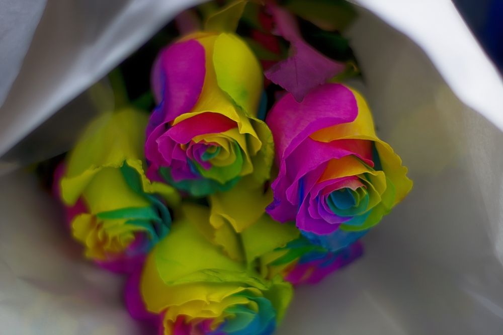 Photograph by Александр Перегудов