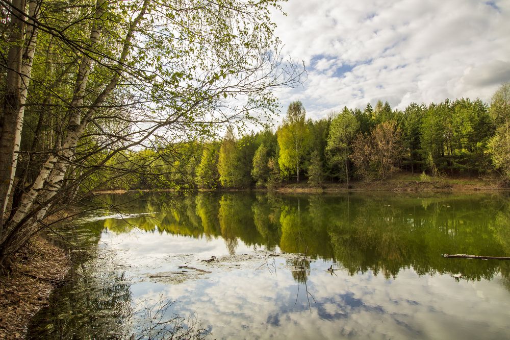 Photograph by Леонтьева Оксана