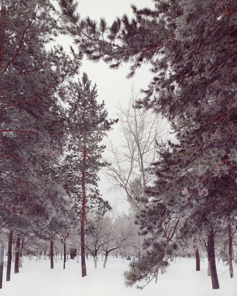 Фотография автора Марина Маллаева