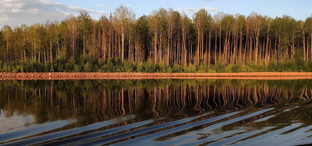 Отражение осени