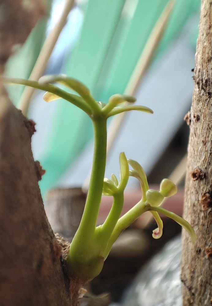 Photograph by Dimitris