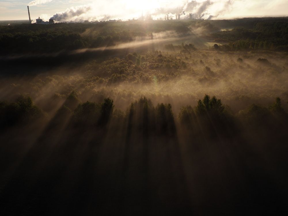 Photograph by Софья