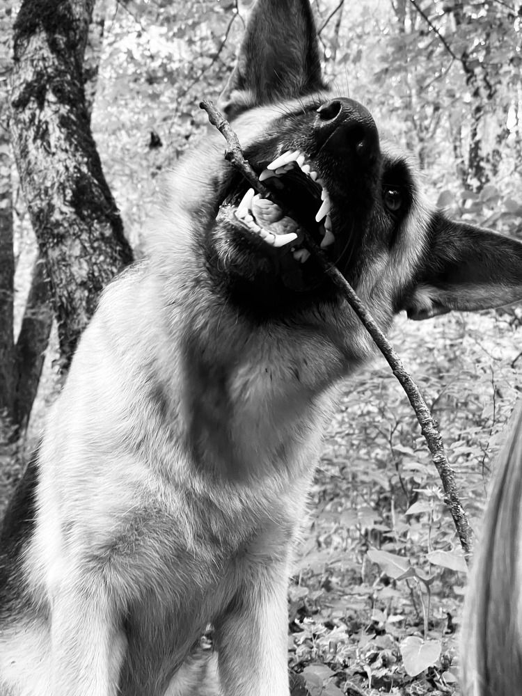 Photograph by Татьяна