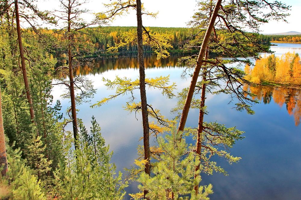 Photograph by Sergei Petrov