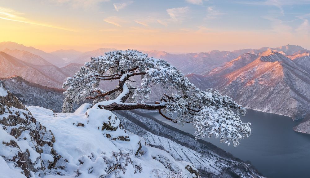 Photograph by Jaeyoun Ryu