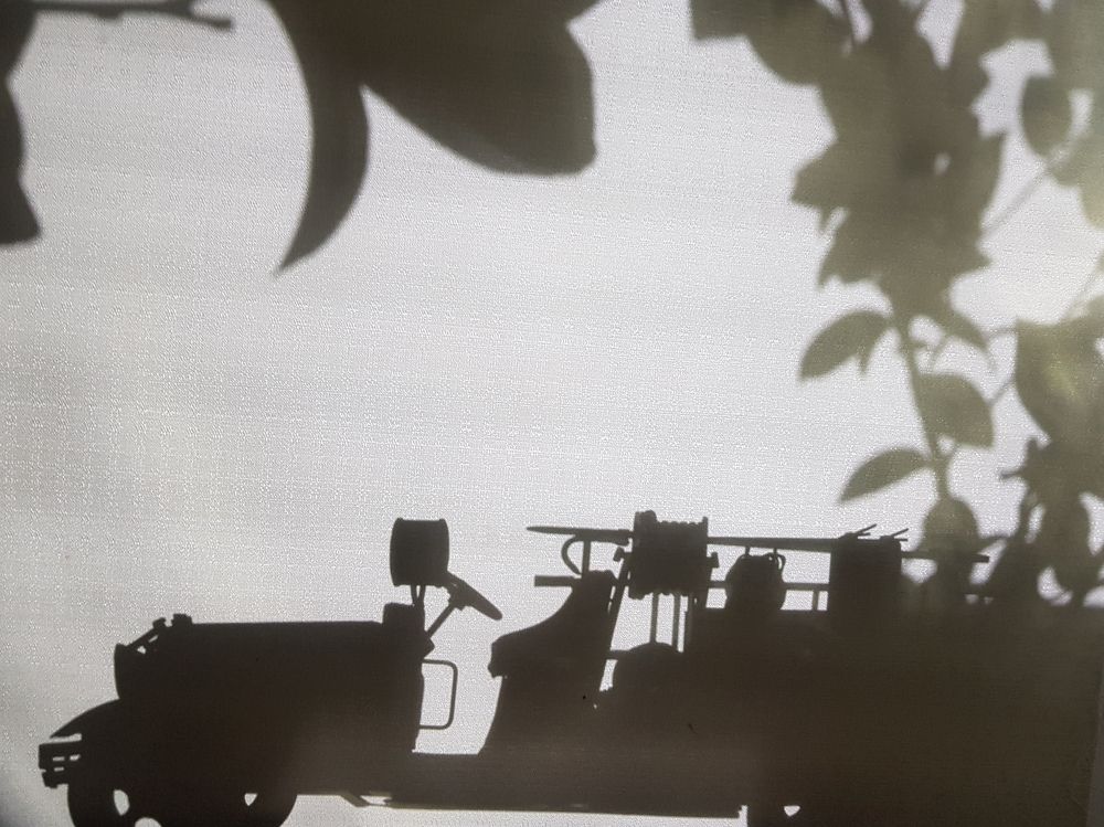 Photograph by Merav Zuberman Perkal