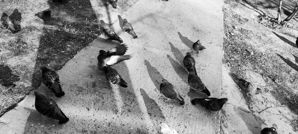 Photograph by Ирина Данилова