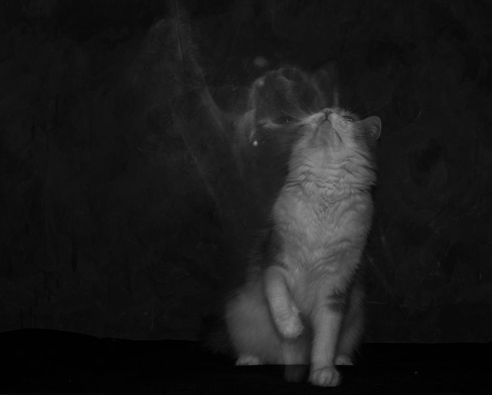 Photograph by Игорь Смирнов